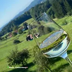 Haus Lannachberg *