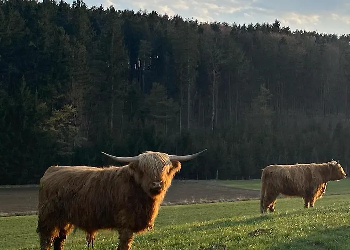 Haus Lannachberg Apartment Lannach